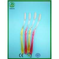 Super Beautiful Transparent Handle Color Inside Adult Toothbrush